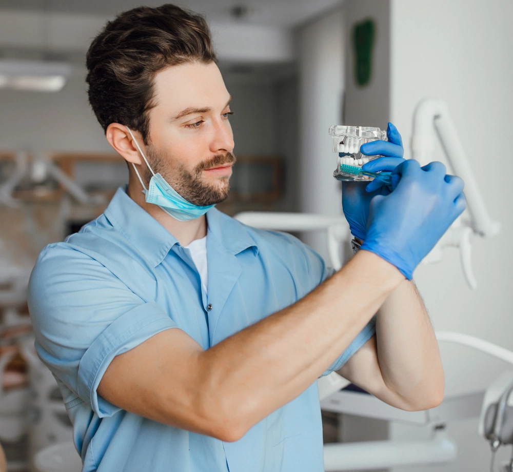Male dentist wearing blue gloves and mask lowered, demonstrating teeth brushing on a dental model with a toothbrush.